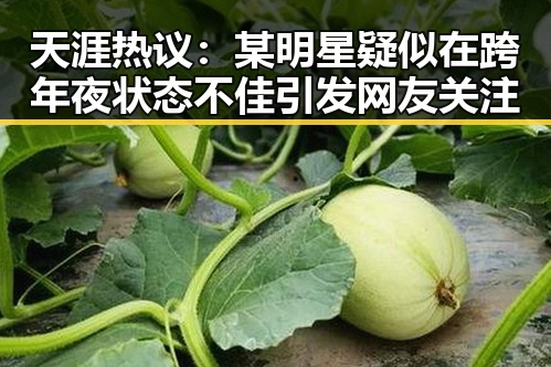 天涯热议：某明星疑似在跨年夜状态不佳引发网友关注